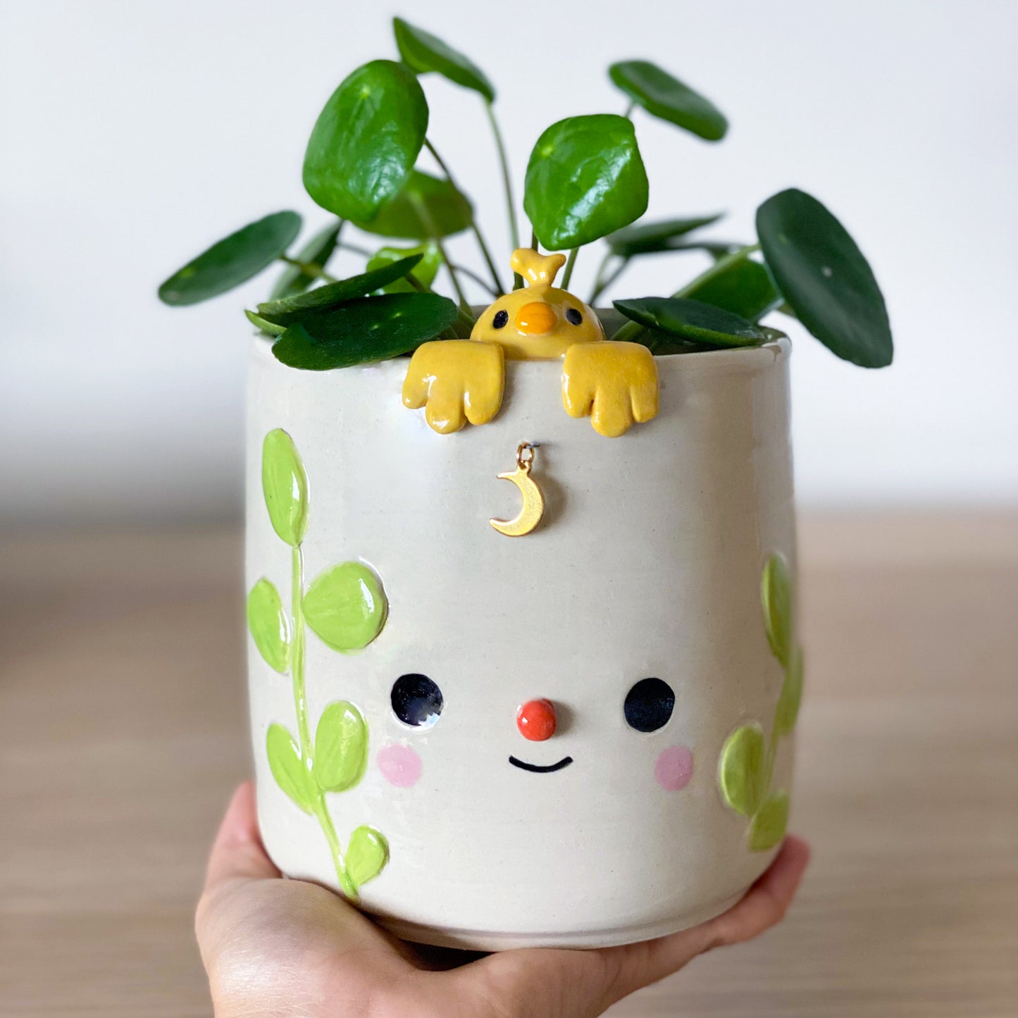 Canari suspendu - Pot de fleur