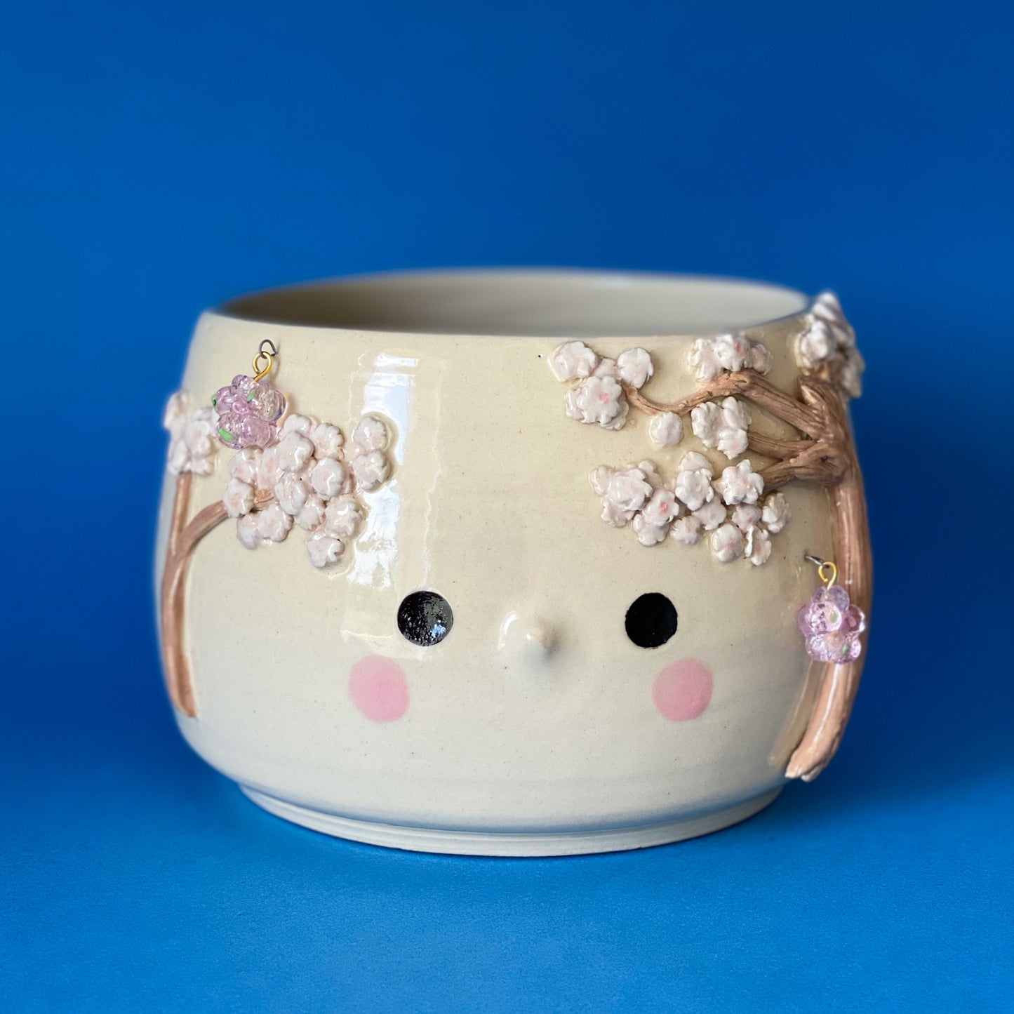 Cerisier timide - pot