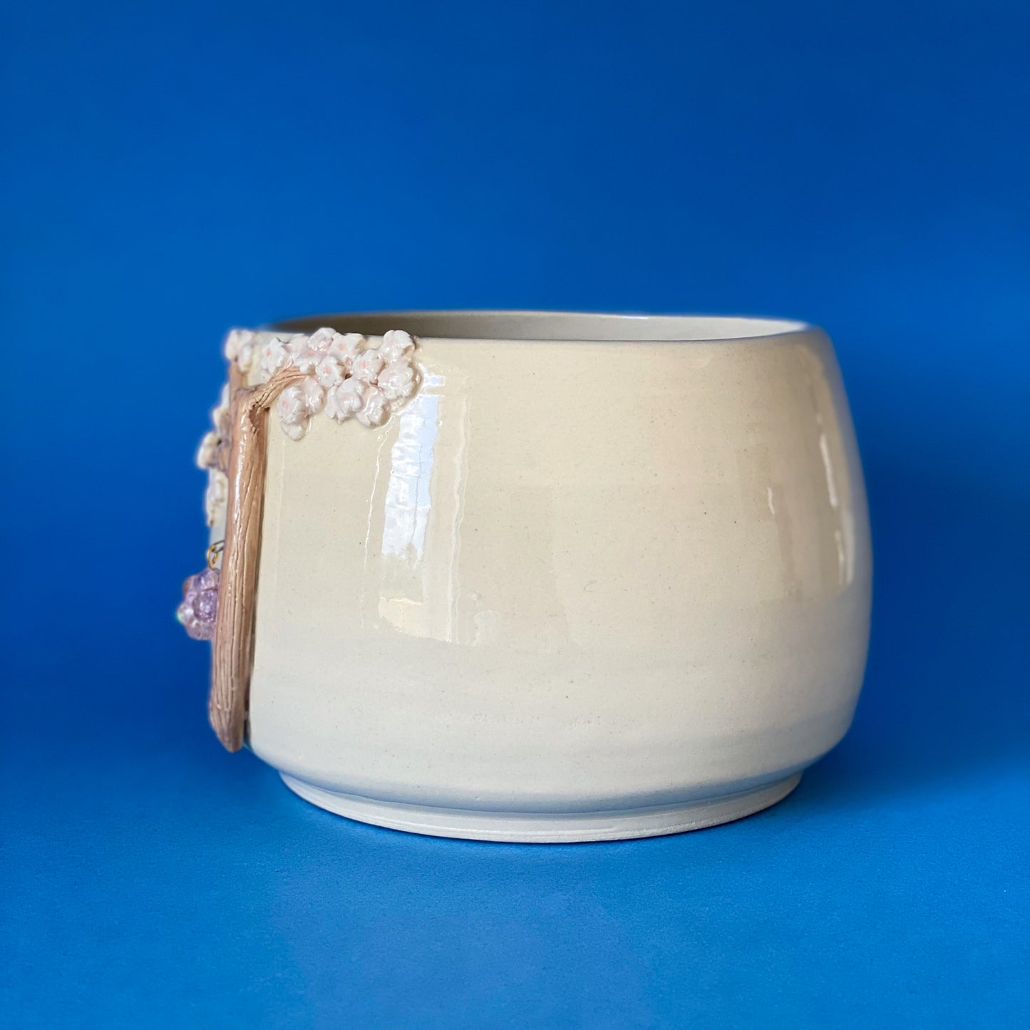 Cerisier timide - pot
