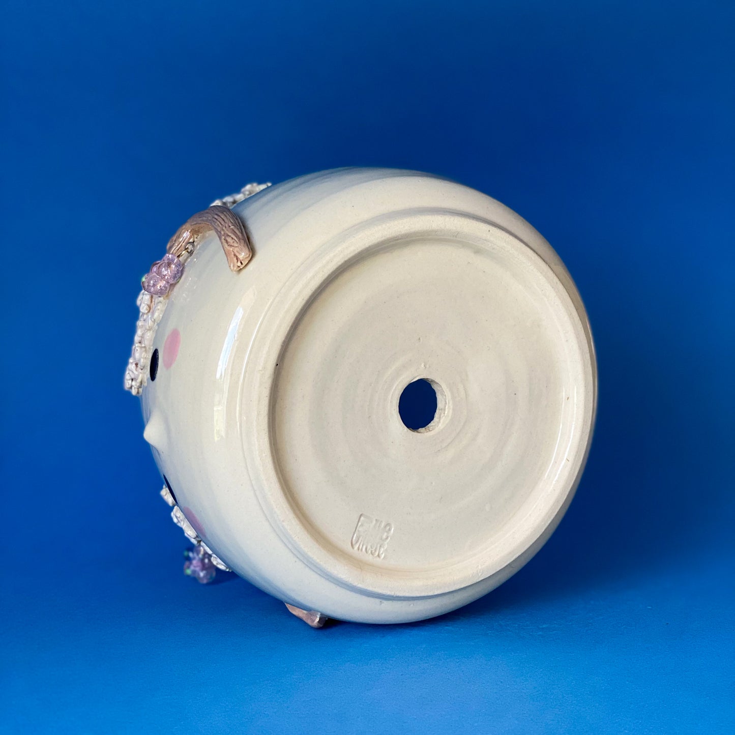 Cerisier timide - pot