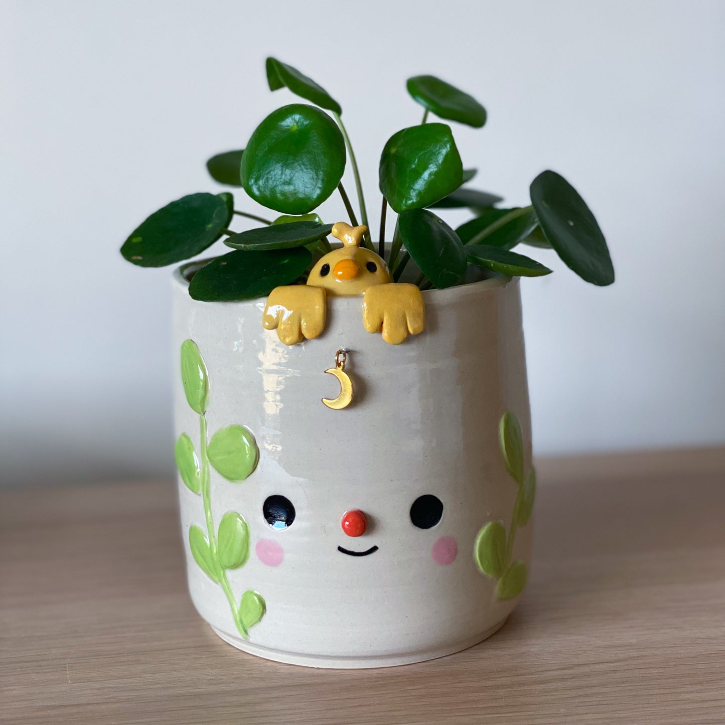 Canari suspendu - Pot de fleur