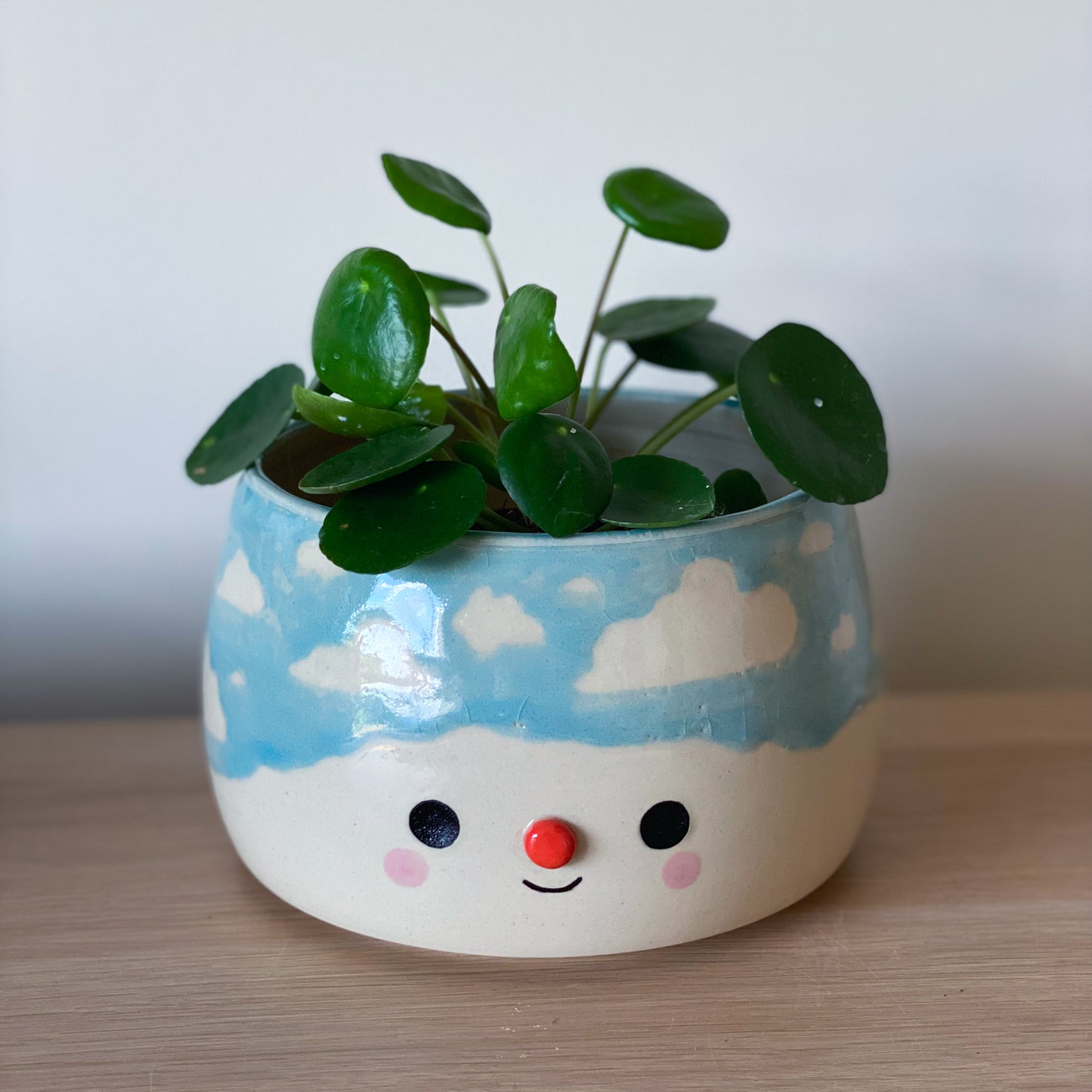 Nuageux - grand pot de fleur