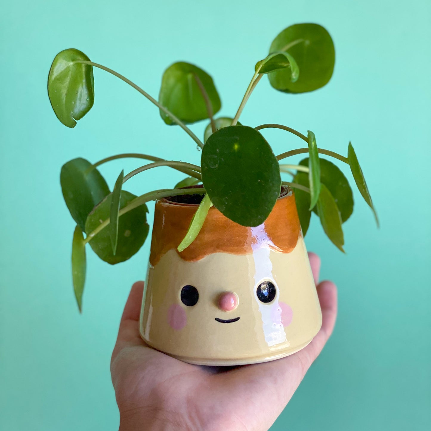 Pudding - mini Pot de fleur