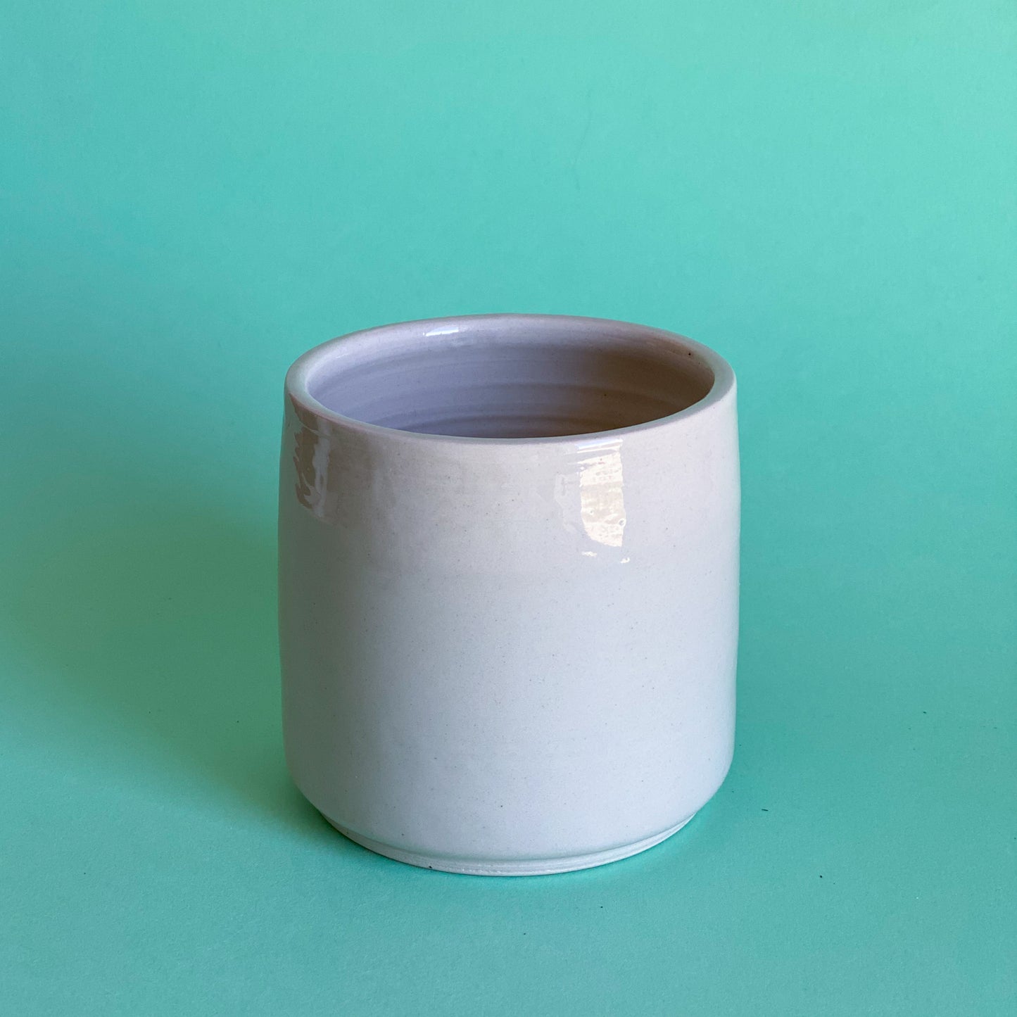 Jeune Pousse timide étoilée - pot de fleur