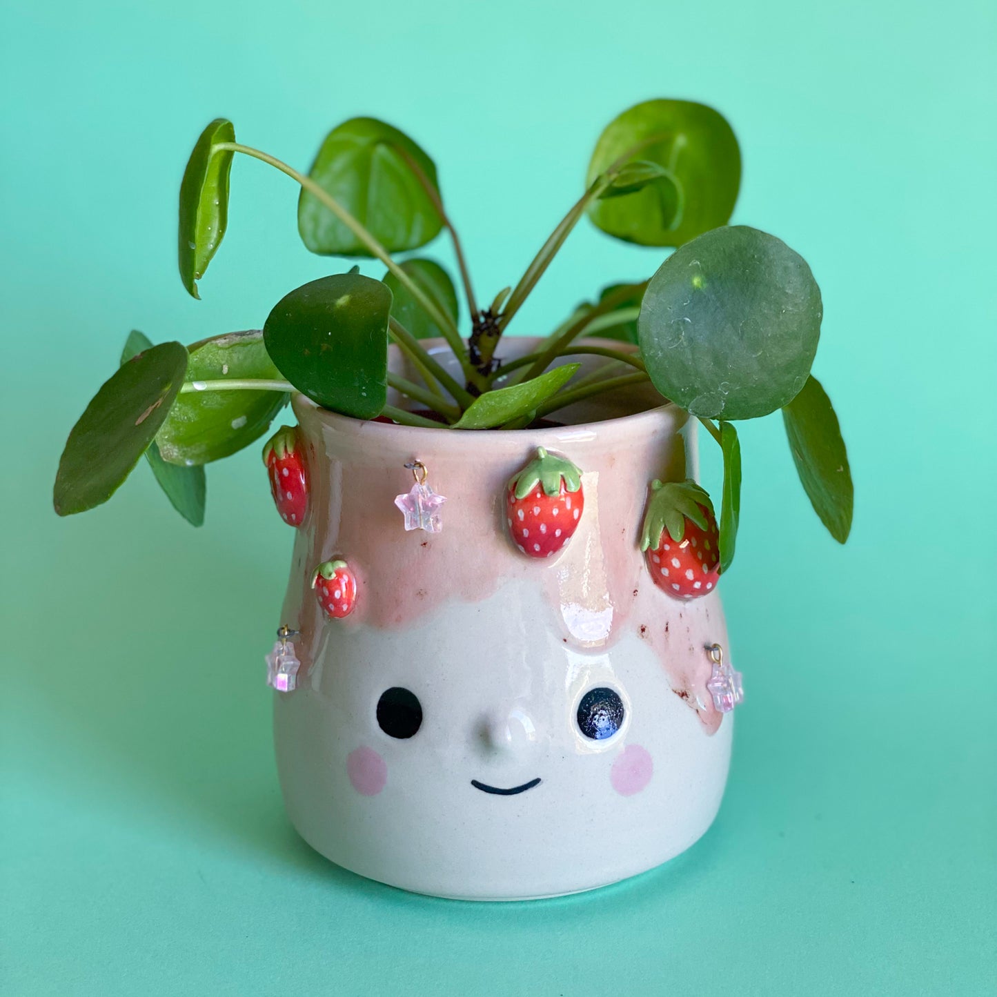 Fraises étoilées - Pot de fleur