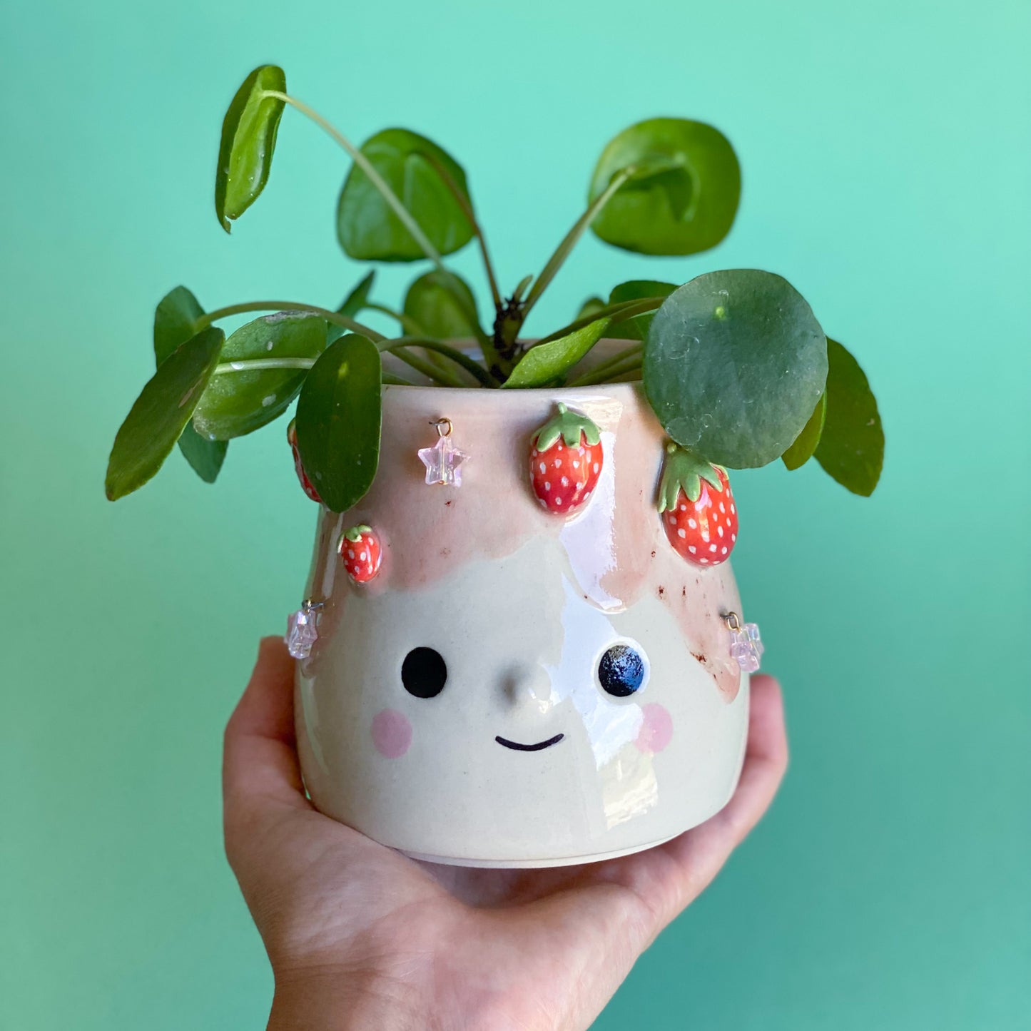 Fraises étoilées - Pot de fleur