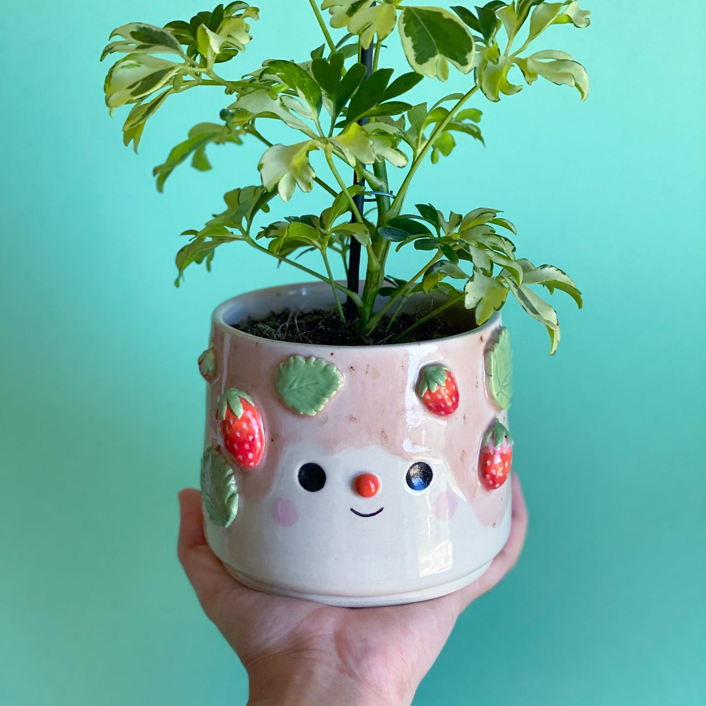 Fraises 03 - Pot de fleur