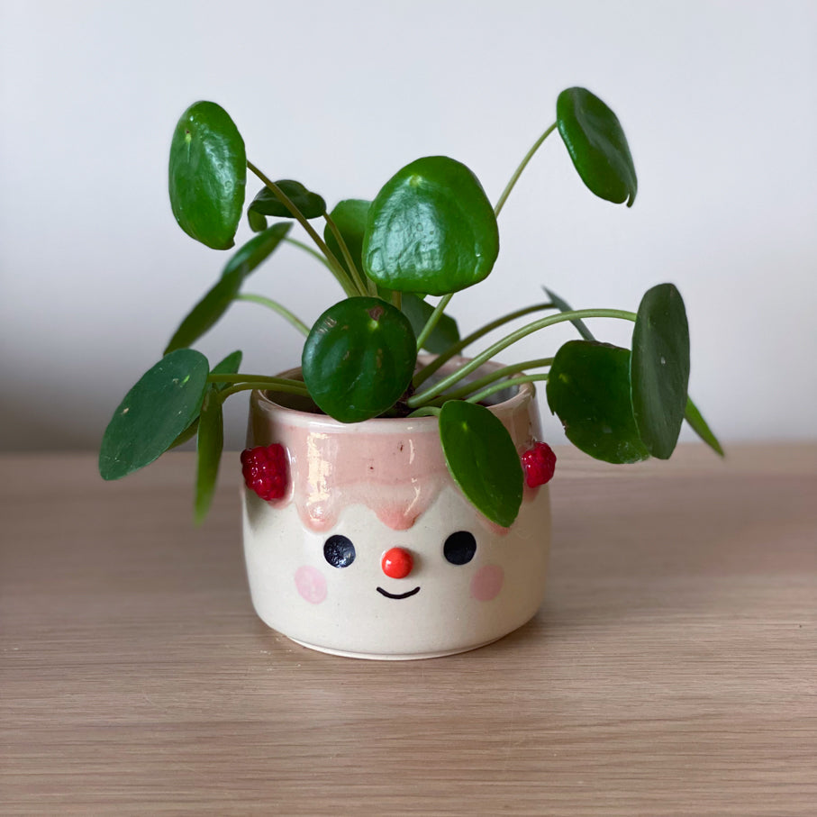 Framboises - Petit pot de fleur