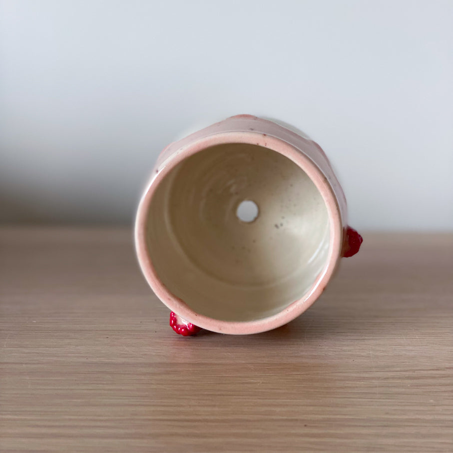 Framboises - Petit pot de fleur