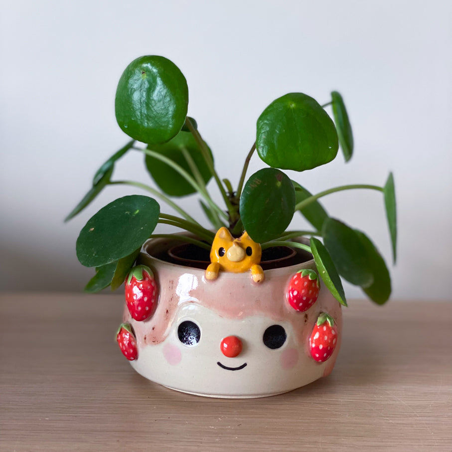 Fraises & Chat malicieux - Petit pot de fleurs