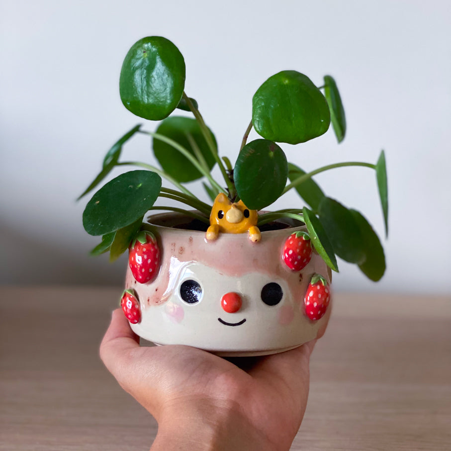 Fraises & Chat malicieux - Petit pot de fleurs