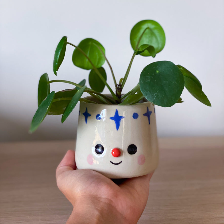 Nuit des étoiles - Mini pot de fleur