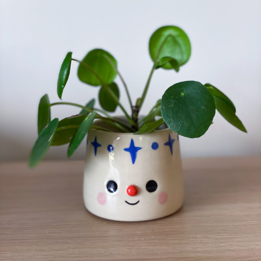 Nuit des étoiles - Mini pot de fleur