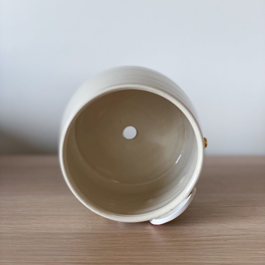 Rainbow - Pot de fleur