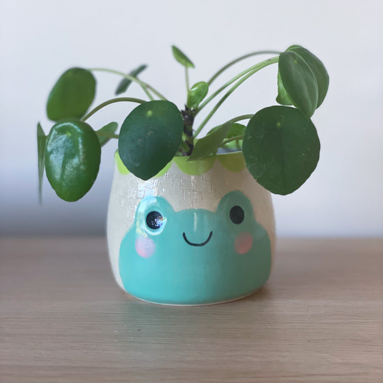 Portrait de la Grenouille - Petit pot de fleur