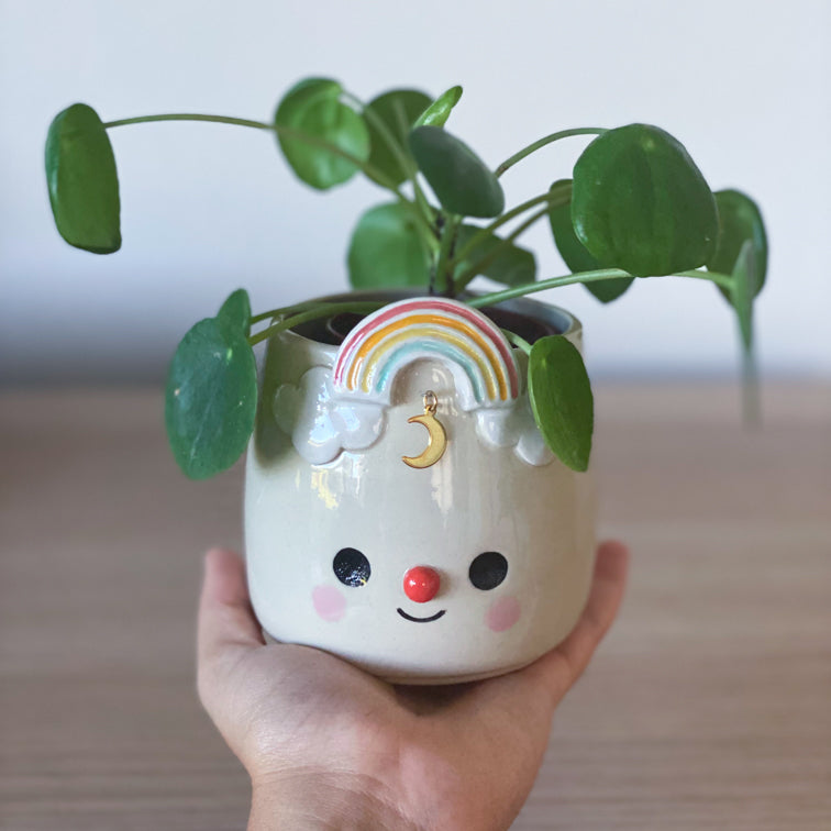 Arc en ciel lunaire - Petit pot de fleur