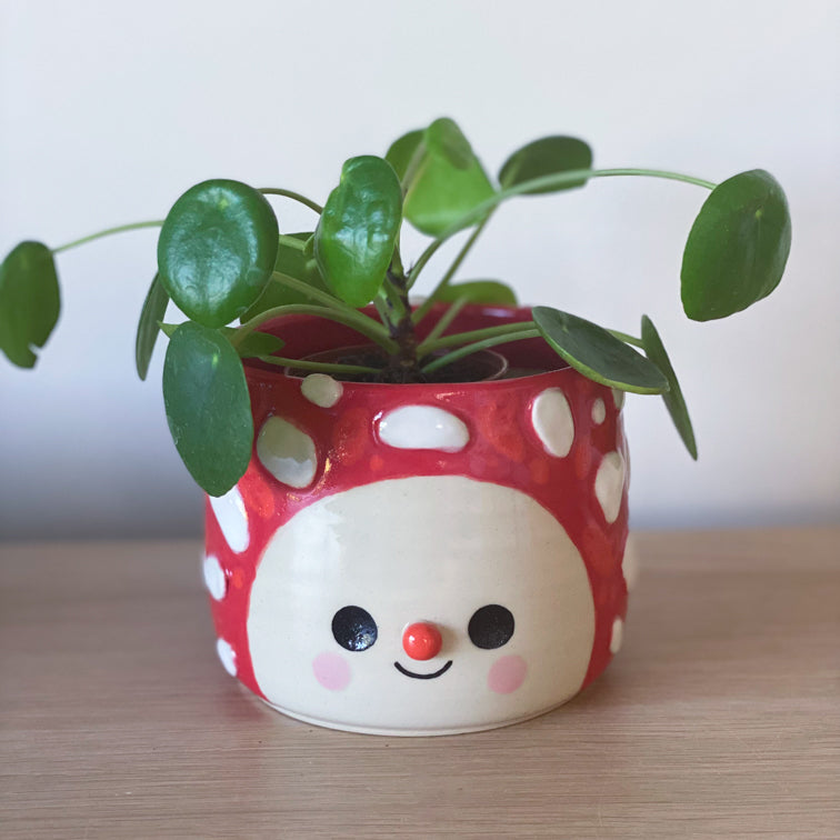 Amanite Intégrale - Pot de fleur
