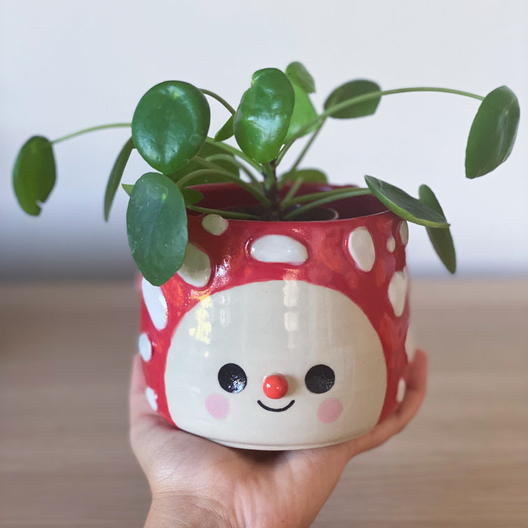 Amanite Intégrale - Pot de fleur