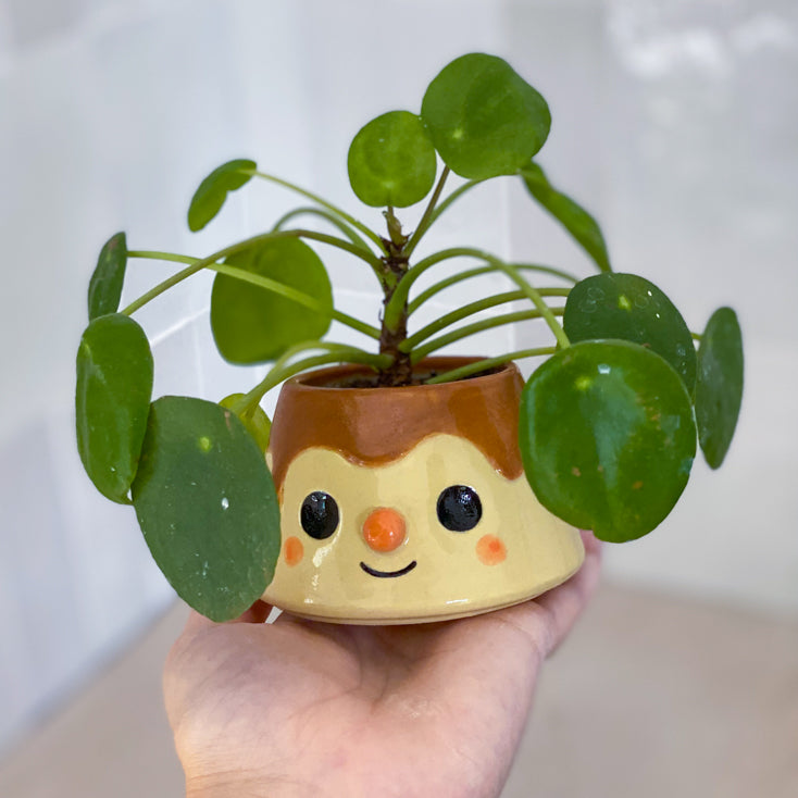 Pudding 03 - mini Pot de fleur - DÉFAUTS