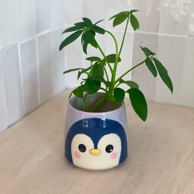 Portrait du Pingouin - Pot de fleur