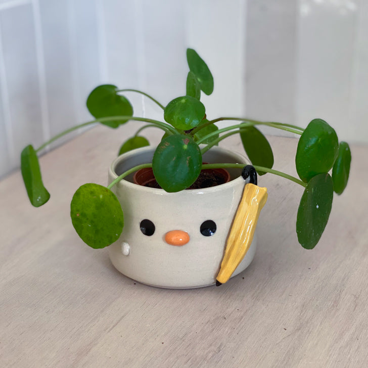 Jour de pluie - Petit pot de fleur