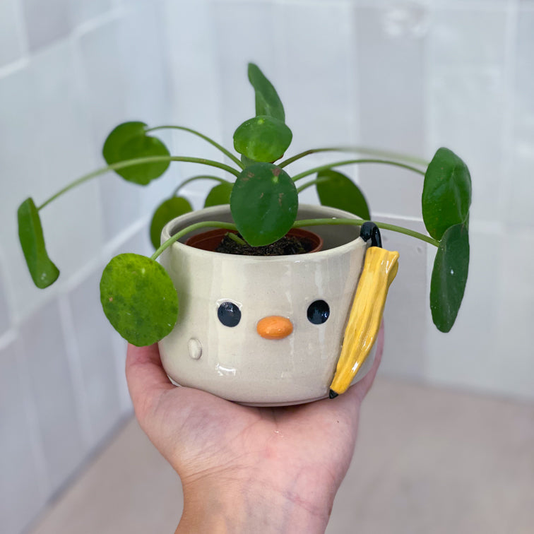 Jour de pluie - Petit pot de fleur