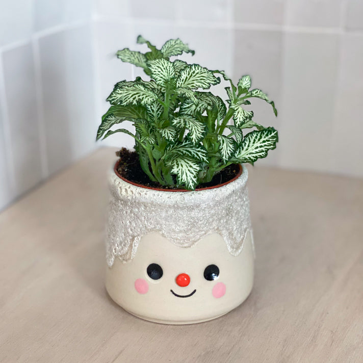 Pierre Volcanique 05 - pot de fleur