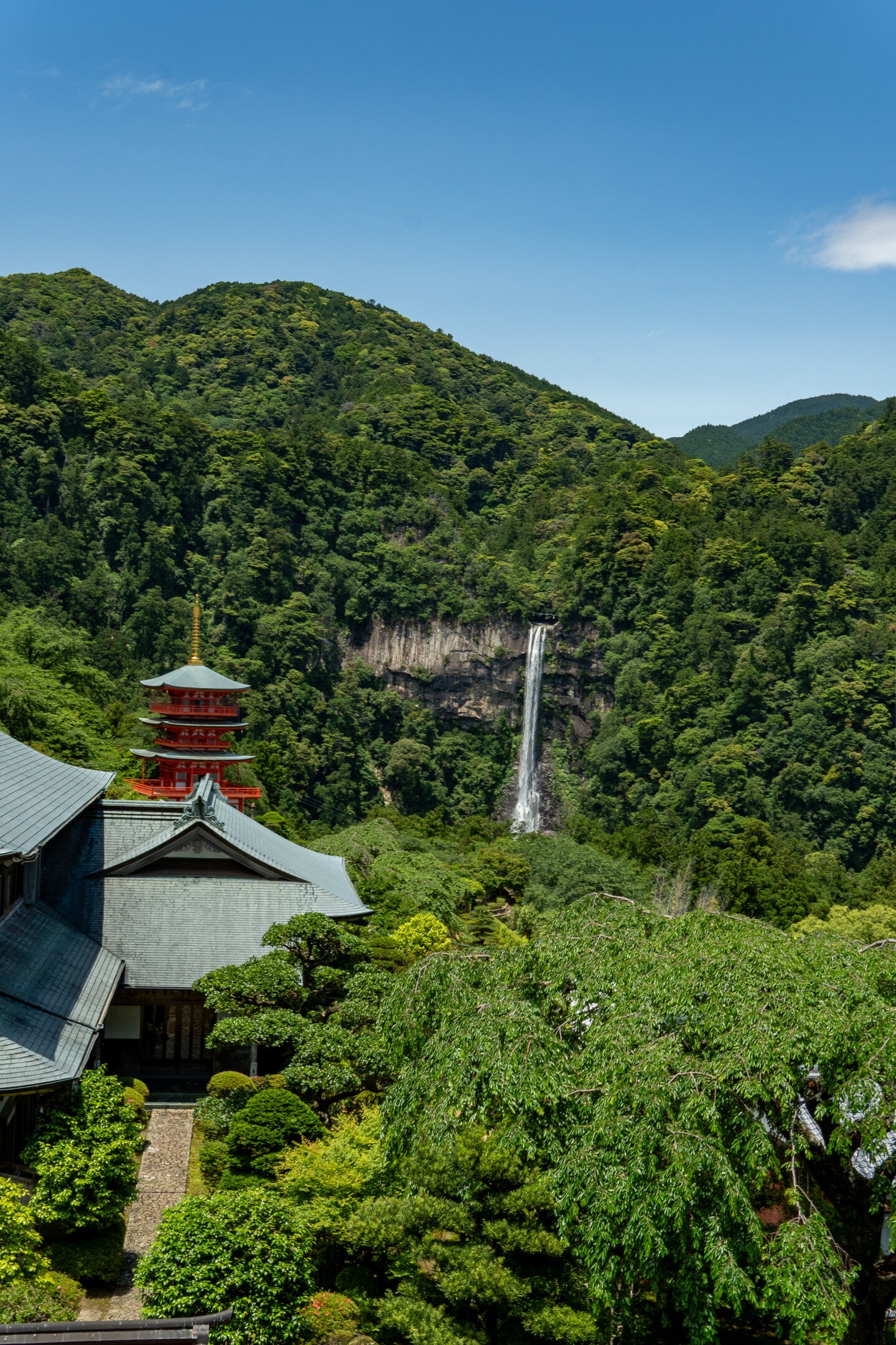 Kumano Kodo - Tasse 550 ml