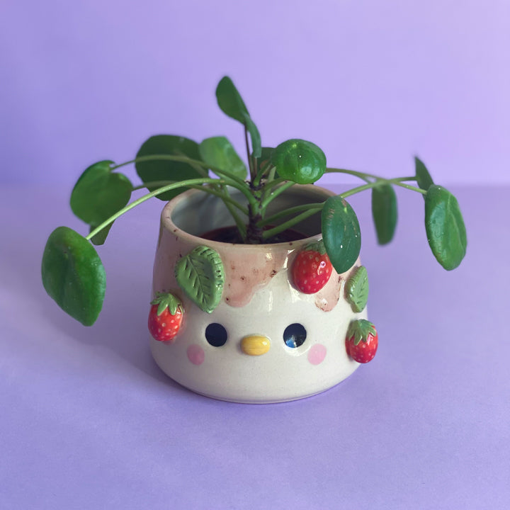 Canard Fraises - Pot de fleur