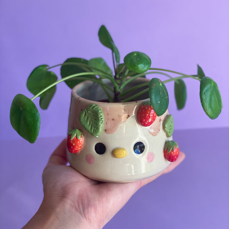 Canard Fraises - Pot de fleur