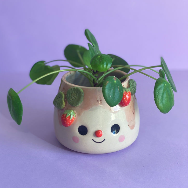 Fraises 05 - Pot de fleur
