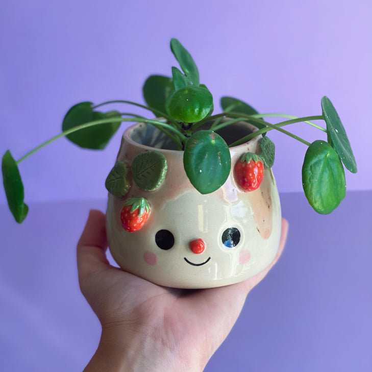 Fraises 05 - Pot de fleur