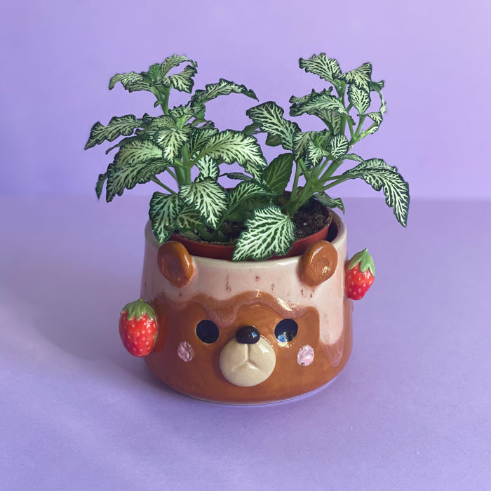 Ourson Fraises - Pot de fleur - Défaut