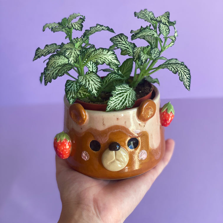 Ourson Fraises - Pot de fleur - Défaut
