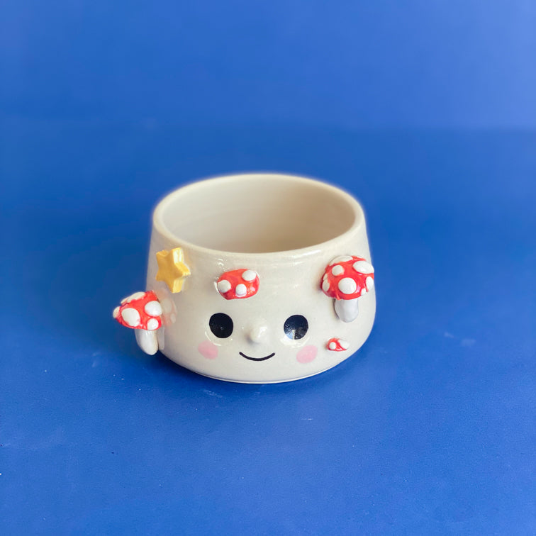 Champignons étoilés - Petit Pot de fleur
