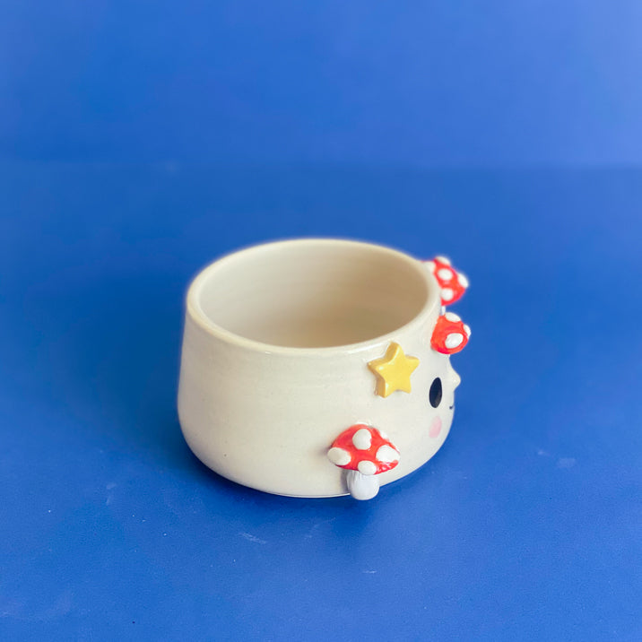 Champignons étoilés - Petit Pot de fleur