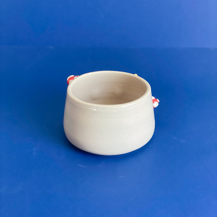 Champignons étoilés - Petit Pot de fleur