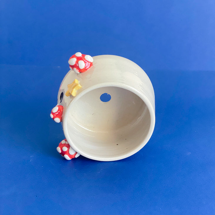 Champignons étoilés - Petit Pot de fleur