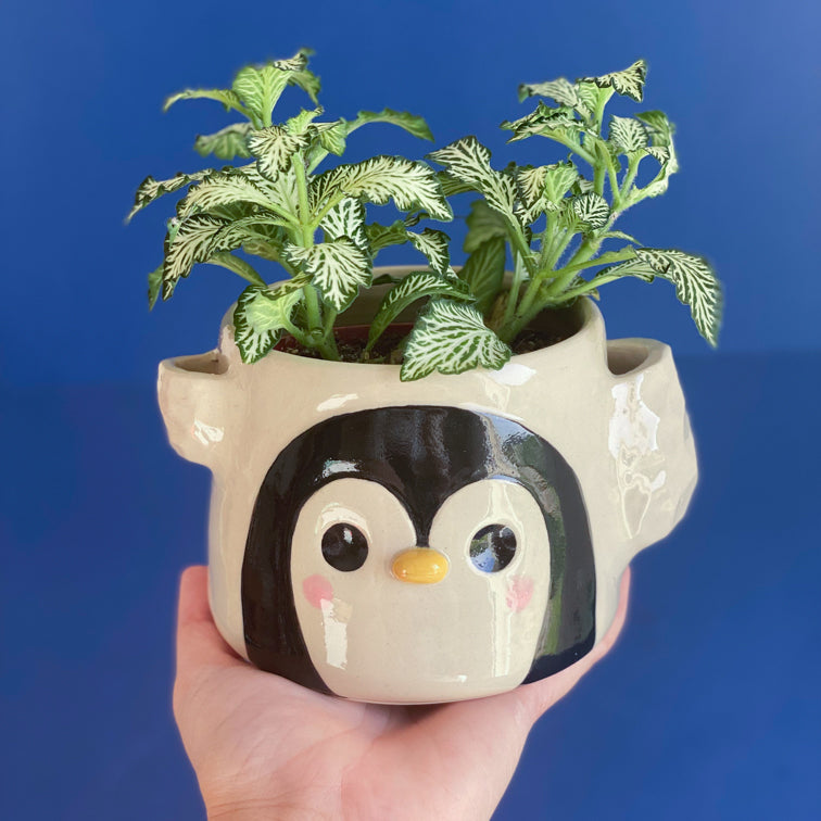 La banquise du Pingouin - Pot de fleur multiple - Léger DEFAUT