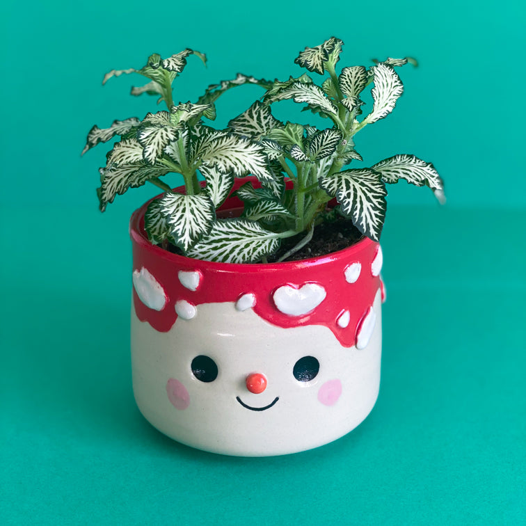 Coulure Amanite- Pot de fleur