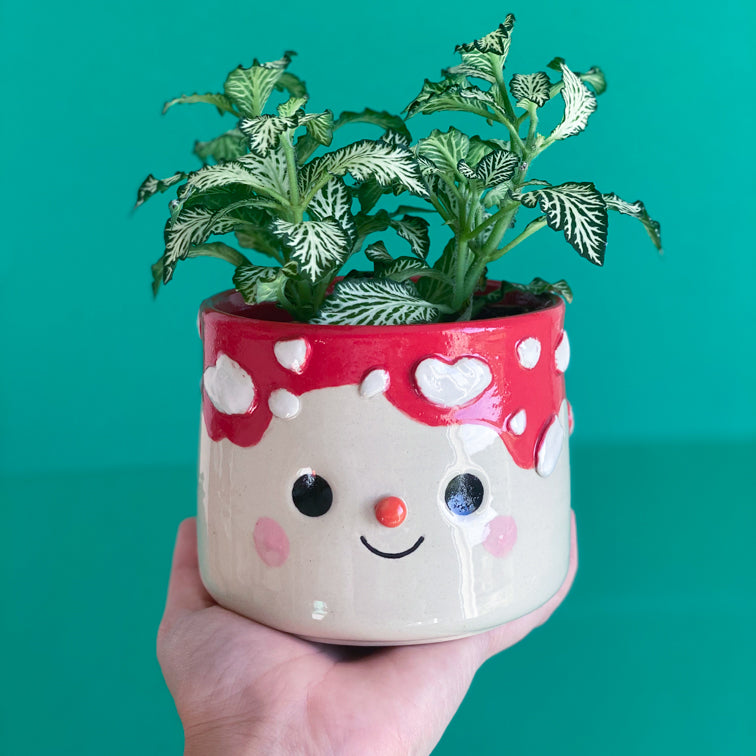 Coulure Amanite- Pot de fleur