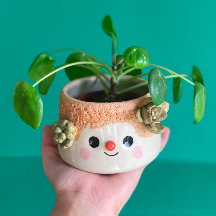 Succulente & coulure terre - Pot de fleur - Défaut