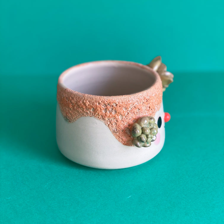Succulente & coulure terre - Pot de fleur - Défaut