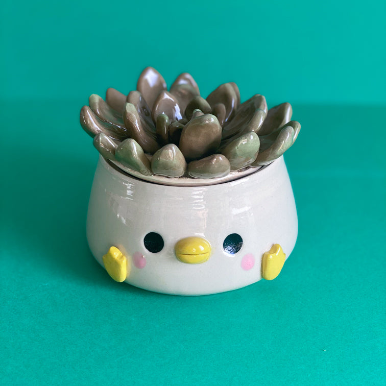 Canard Succulente - Boite à couvercle - Défaut