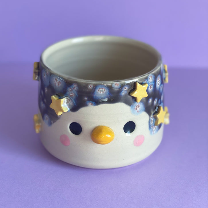 Canard galaxie - Grand Pot de fleur