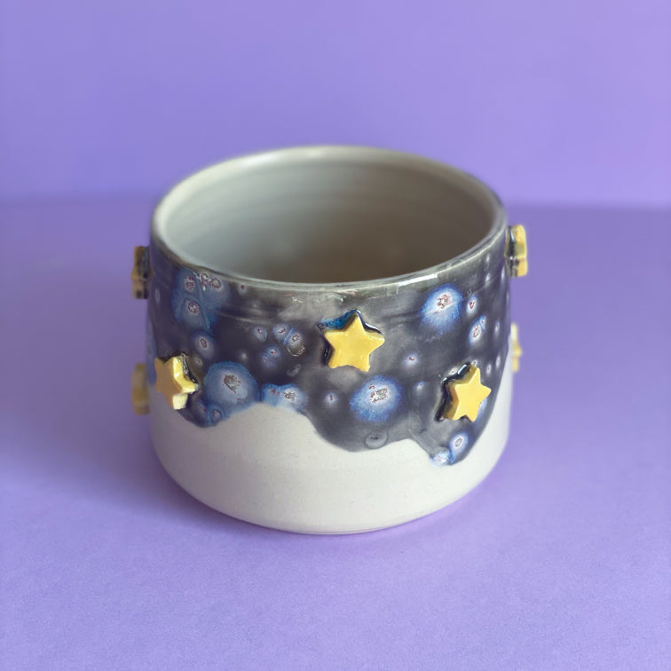 Canard galaxie - Grand Pot de fleur