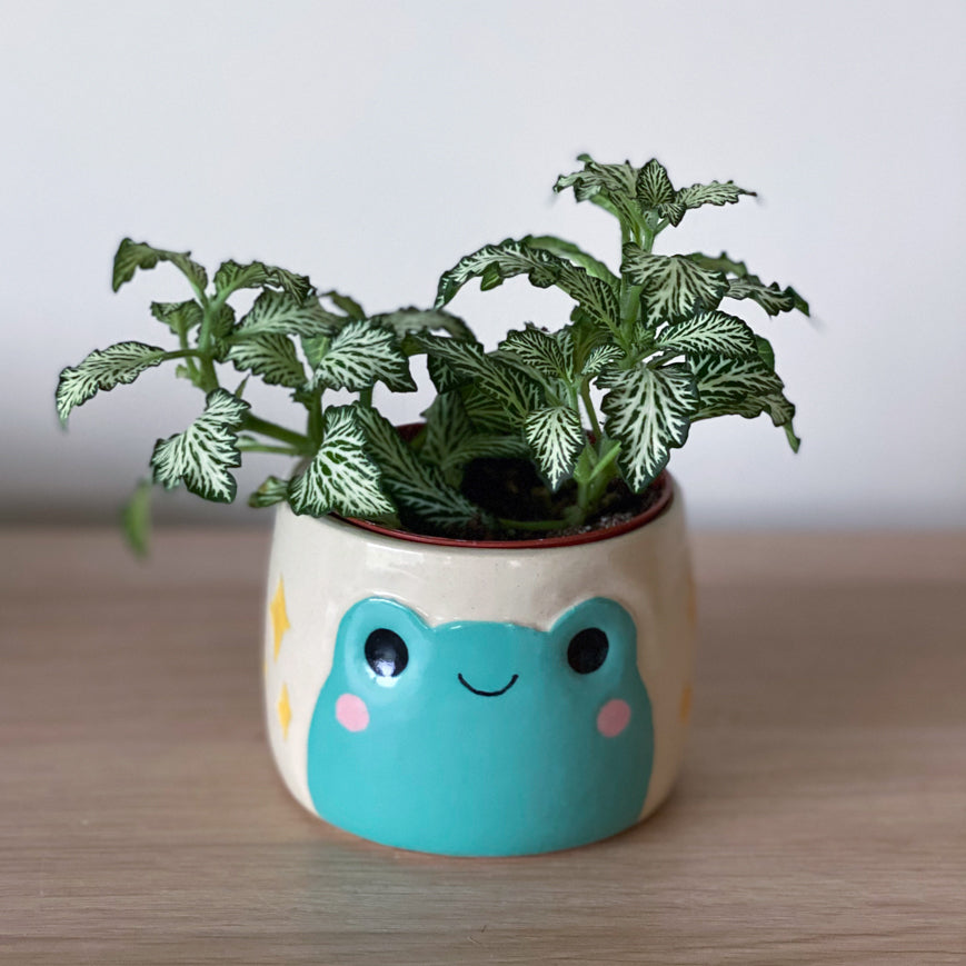 Grenouille scintilante - Petit Pot de fleur