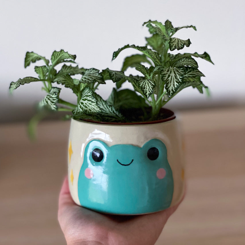 Grenouille scintilante - Petit Pot de fleur