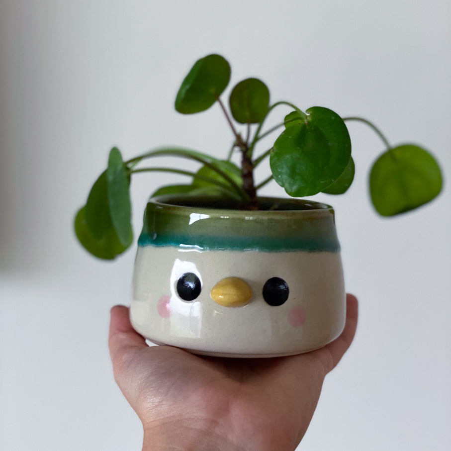 Canard coulis - Petit Pot de fleur