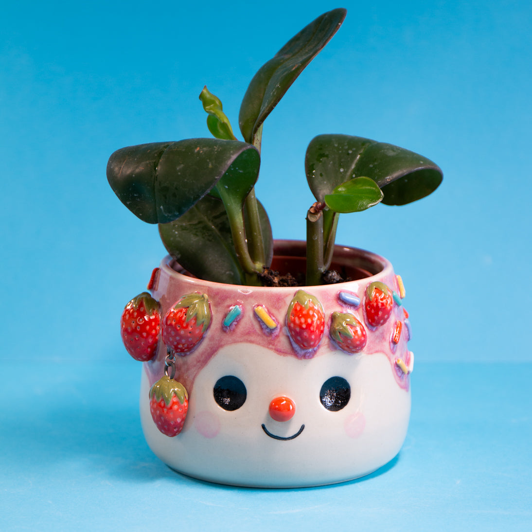Fraise Suspendue & sprinkles - Pot de fleur